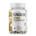 Ежовик Гребенчатый — для концентрации и ясности мышления