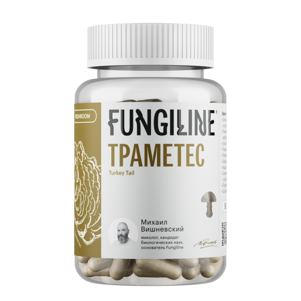 Траметес разноцветный — гриб с природной силой