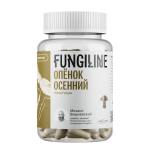 Опенок Осенний