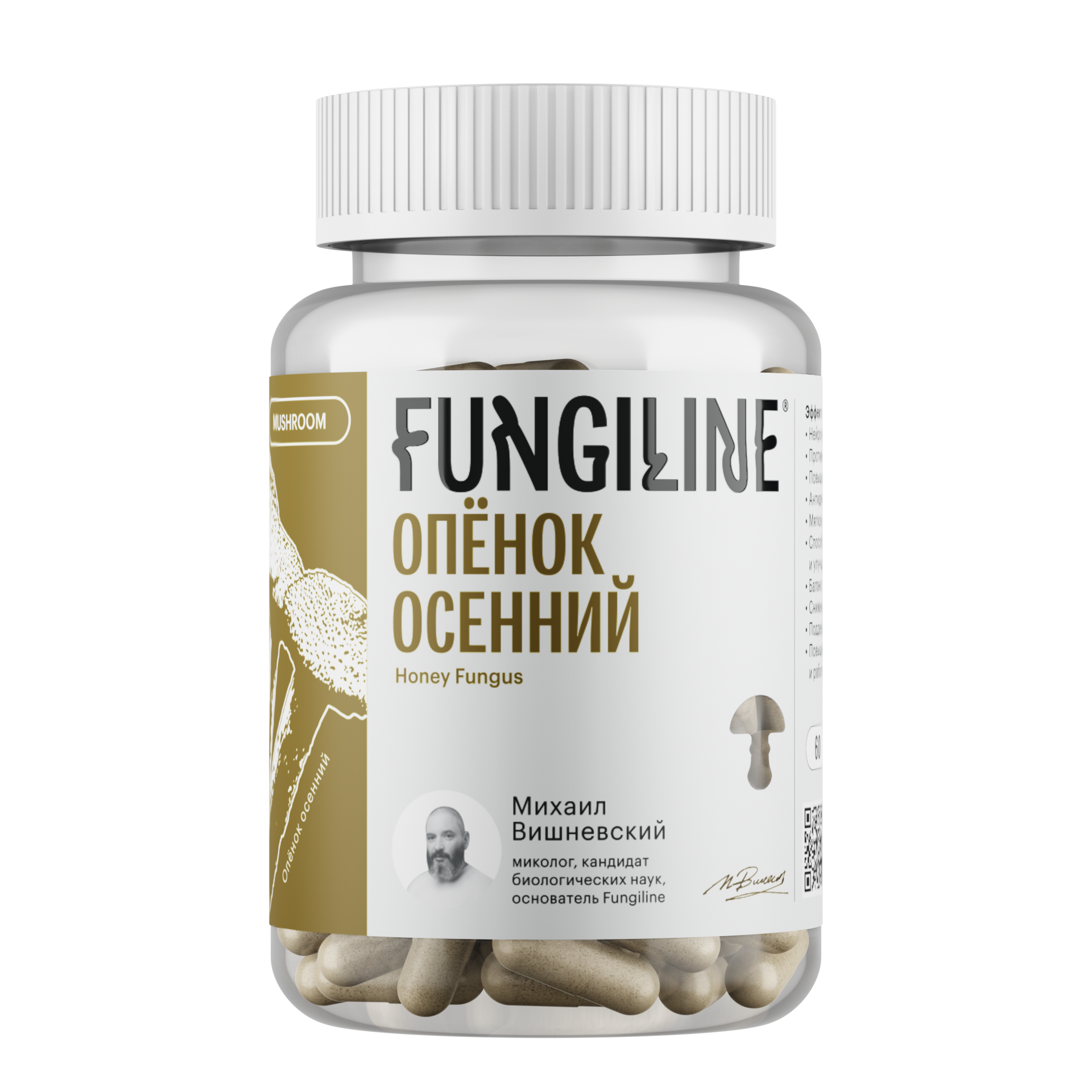 Опенок Осенний