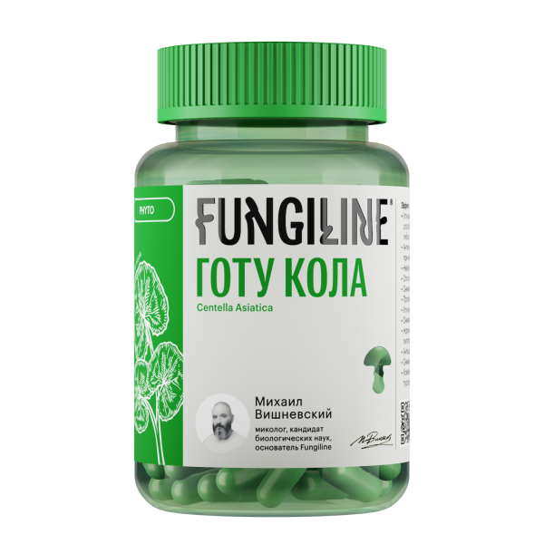 Готу кола — природный продукт для ясности ума и внутренней собранности