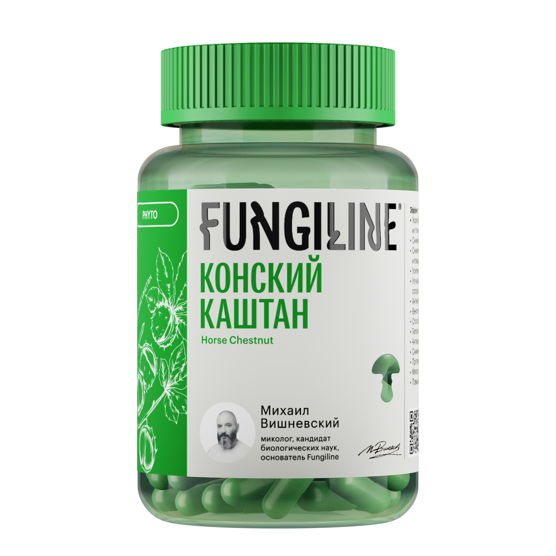 Конский каштан